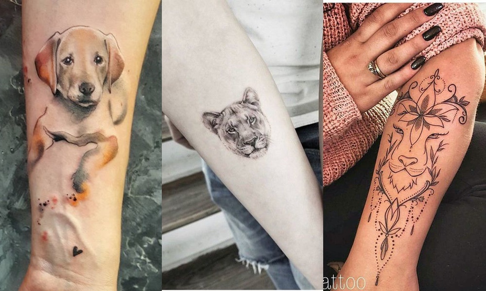 tatuagens de animais no braço 