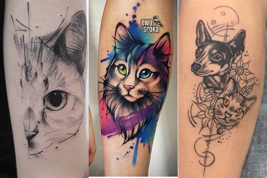 tatuagens femininas no braço de gato e cachorro