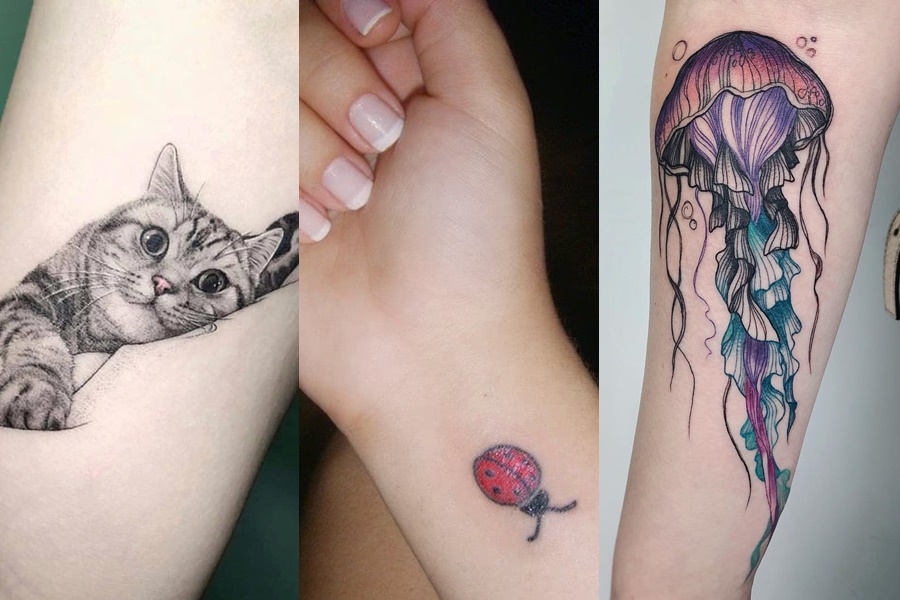 tatuagens femininas de gato, joaninha e água viva 