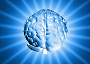 Fator Genius: expanda seu cérebro