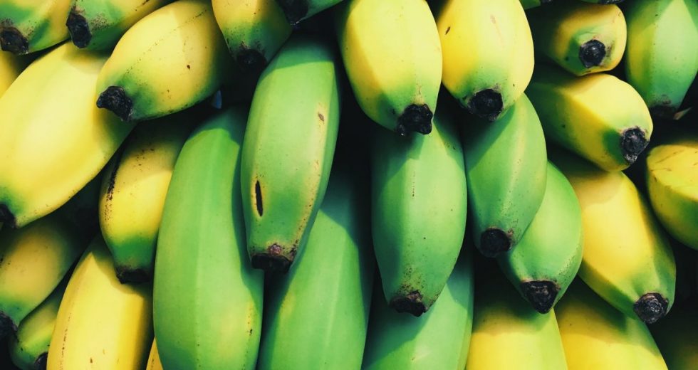Biomassa de banana verde: Como consumir? Quais os benefícios? Biomassa em cápsulas!