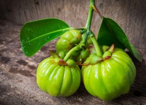 Garcinia Cambogia: Conheça a planta asiática que ajuda a perder peso naturalmente!