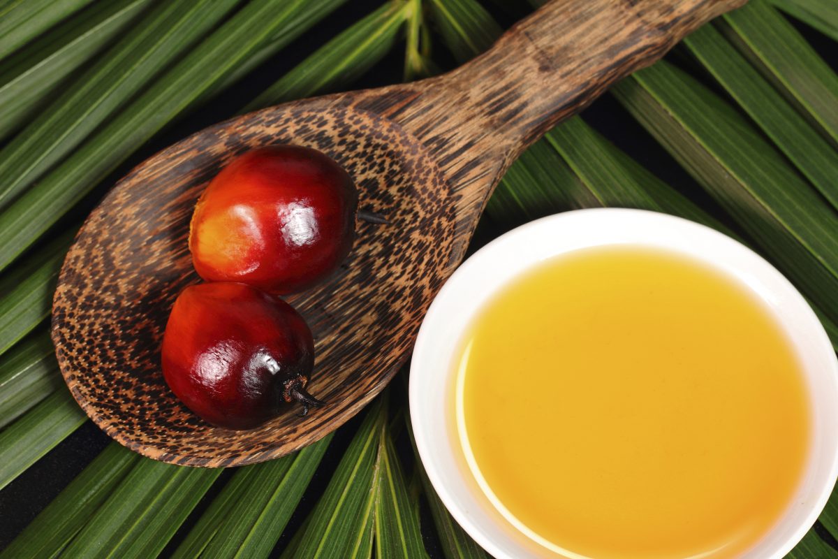 óleo de palma benefícios 