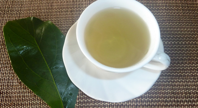 chá de folha de abacate