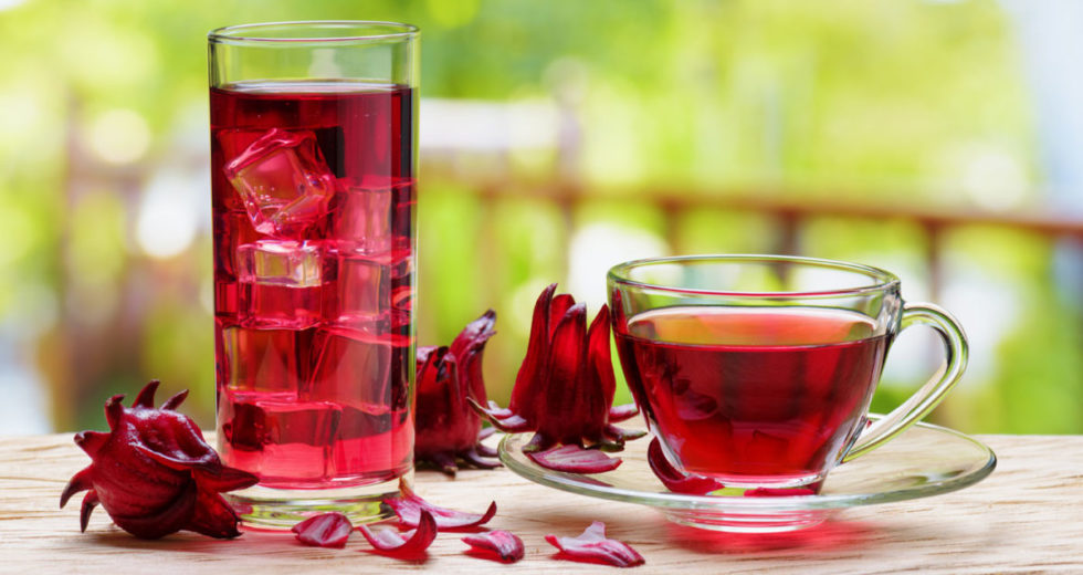 Chá de hibisco: É bom para o que? Quais são seus benefícios? Como tomar? Emagrece mesmo? Confira! (+ RECEITAS)