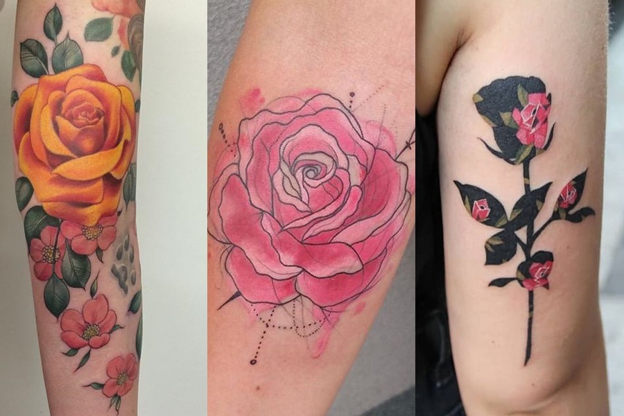 tatuagens coloridas de rosas no braço