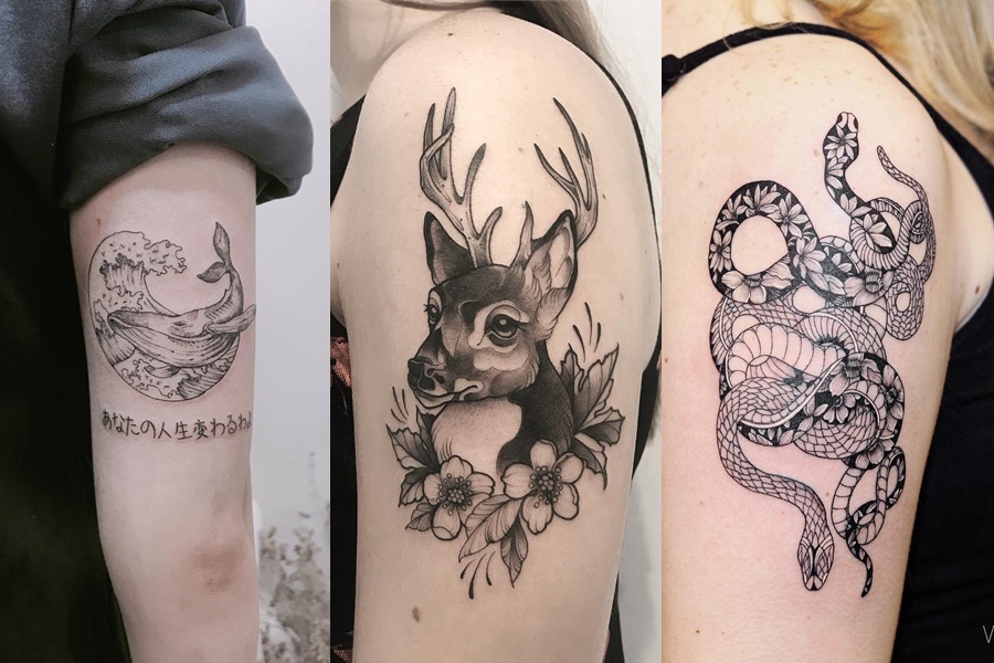 tatuagens femininas de animais no braço 