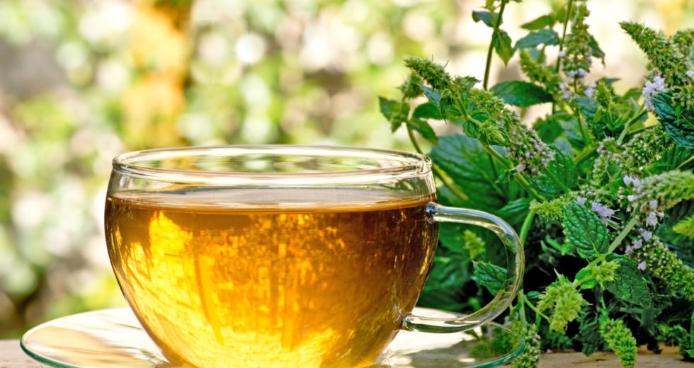 Como preparar o chá de erva doce corretamente? Um bebê pode tomá-lo? Conheça seus benefícios!